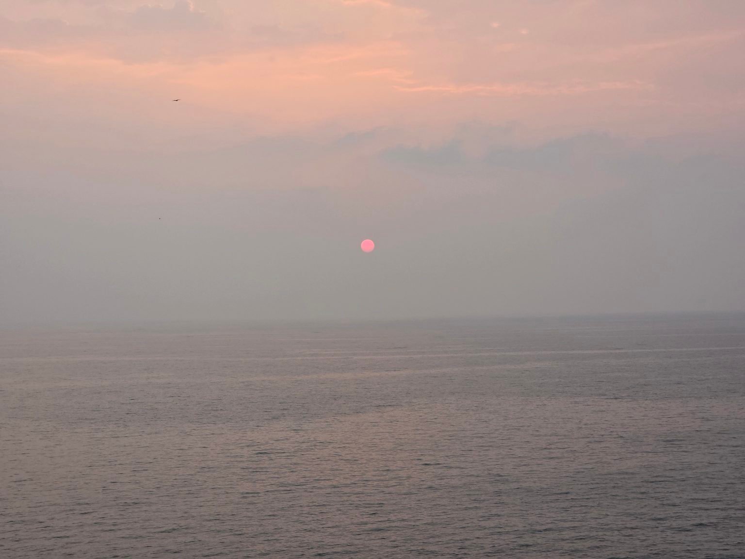 Soft crimson sun setting into the vast calm horizon of the Arabian sea